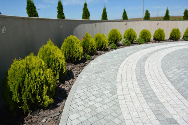 Best Driveway Paving Contractor  in Gordonsville, TN